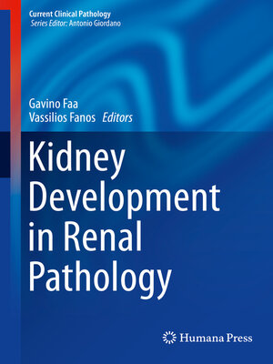 cover image of Kidney Development in Renal Pathology